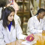 lab-6