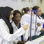 lab